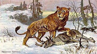 photo du docs histoire L’union du Lion et de Zion puissance et élévation